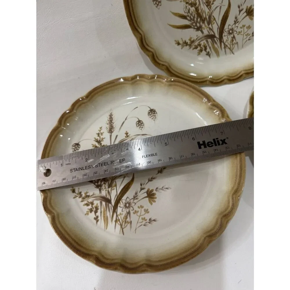 Mikasa Manor House Autumn Breeze Cream Brown Floral Scalloped 2 Dessert Plates